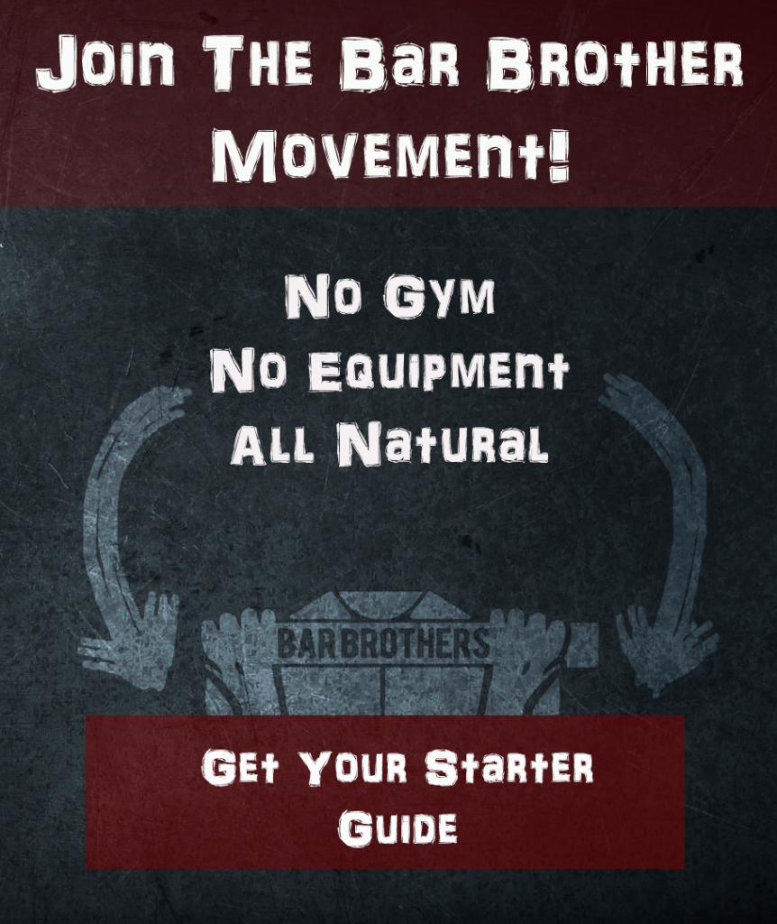 Ebook cover Bar Brothers