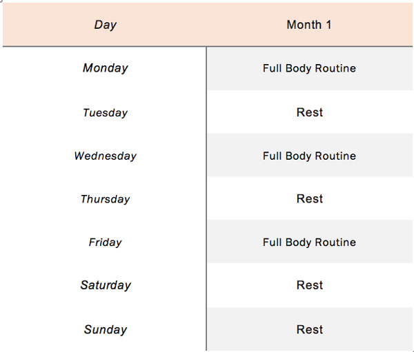 Body Workout Chart