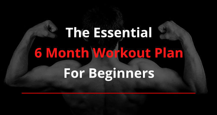Calisthenics And Weight Training Workout Plan  : Maximize Your Results