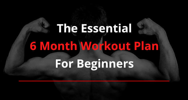 The Essential 6 Month Calisthenics Workout Plan